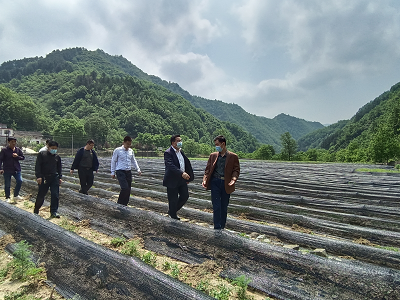 qy球友会·[中国]官方网站_image3515